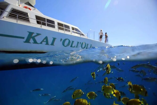 Private Sunset Snorkel and Dinner Cruise in Oahu Charter - Key Points