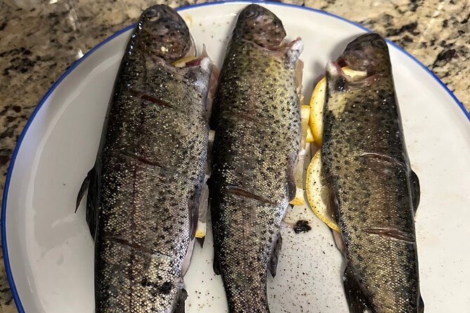 Private Trout Fishing Excursion in Virginia - Good To Know