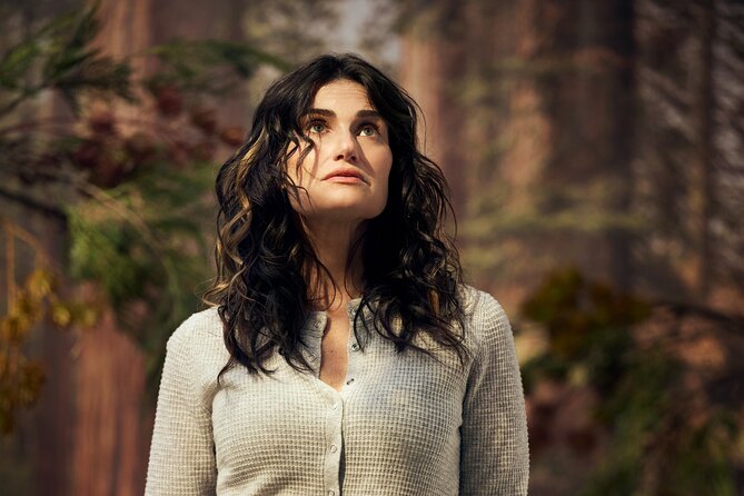 Redwood Starring Idina Menzel on Broadway Ticket - Good To Know