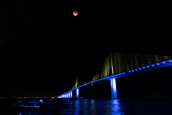 Skyway Light Show Tour Under the Stars - Good To Know