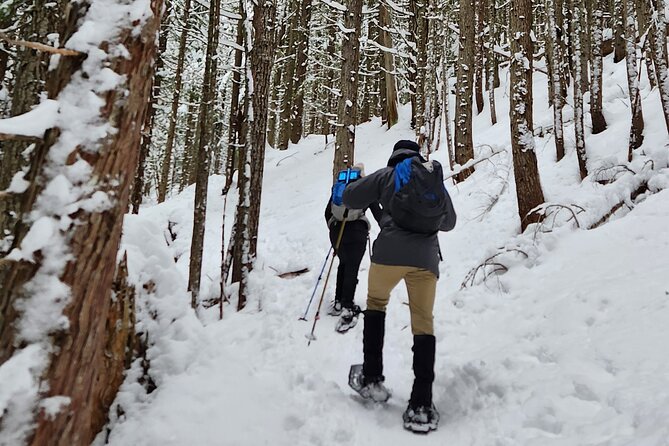 Snowshoeing at Crystal Mountain by Mount Rainier - Good To Know