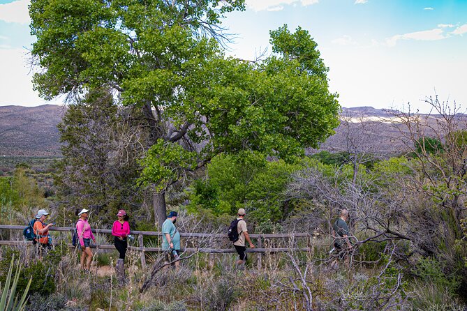 Spring Mountain Ranch Hike With Happy Hour Drinks - Good To Know
