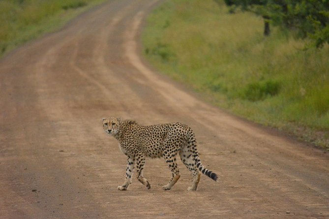 Tanzania Safari 1- Day - ARUSHA NATIONAL PARK VISIT - Good To Know