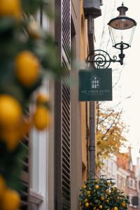 The Lemon Suites - Good To Know