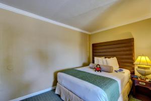Travelers Inn Williams, CA Modern Renovated Hotel - Good To Know