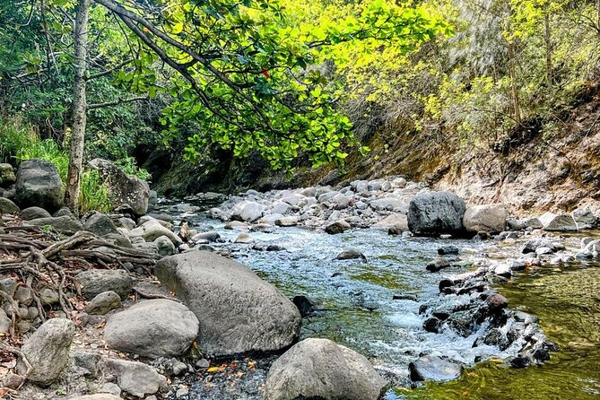 Waterfalls, Hike & Rivers Tour From Kahului - Good To Know