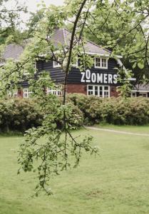 Zoomers in the Forest - Good To Know