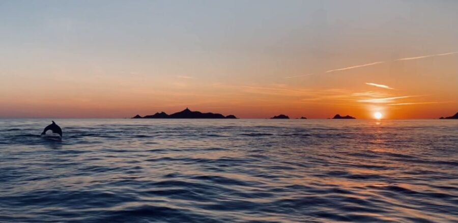 Ajaccio/Porticcio: Sanguinaires Islands Sunset Tour&Aperitif