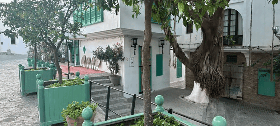 All-Inclusive Day Trip From Cádiz to Tangier, Morocco - Trip Overview and Pricing