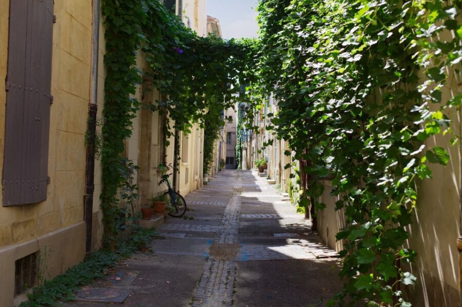 Arles: Private Guide Tour – Explore History & Culture