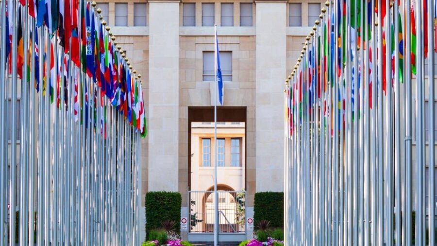 Best of Geneva: Private Walking Tour With a Local - Tour Overview