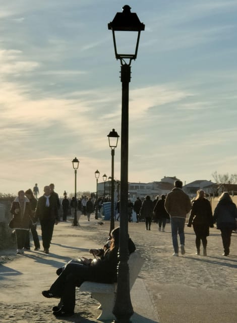 Camargue, Its Secrets and Its Magic: an Exclusive Tour