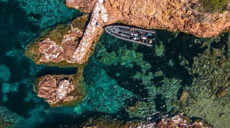 Cannes: 2.5-Hour Esterel Calanques Boat Excursion