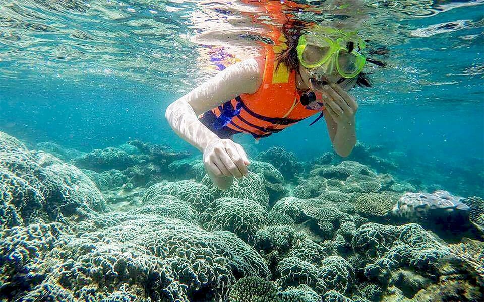 Cham Island Tour: Snorkeling & Spa From Da Nang/Hoi an