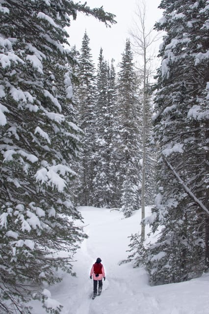 Chamonix: Snowshoeing Under the Stars