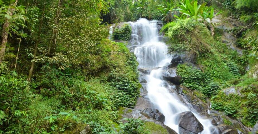 Chiang Mai: Doi Suthep Temple and Waterfall by Songtaew Trio