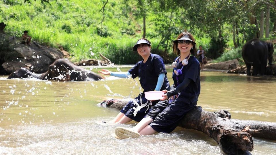 Chiang Mai Untouched Elephant: Nature Walk & Waterfall Trek