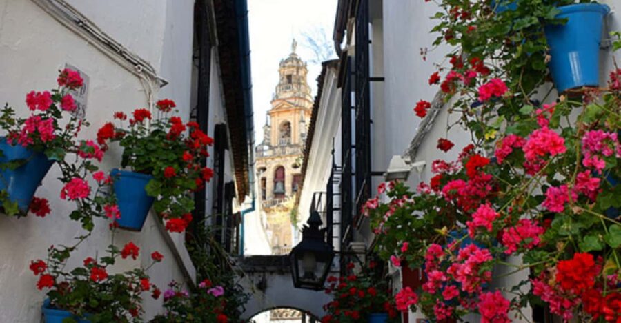 Córdoba: Mosque-Cathedral of Cordoba Private Walking Tour