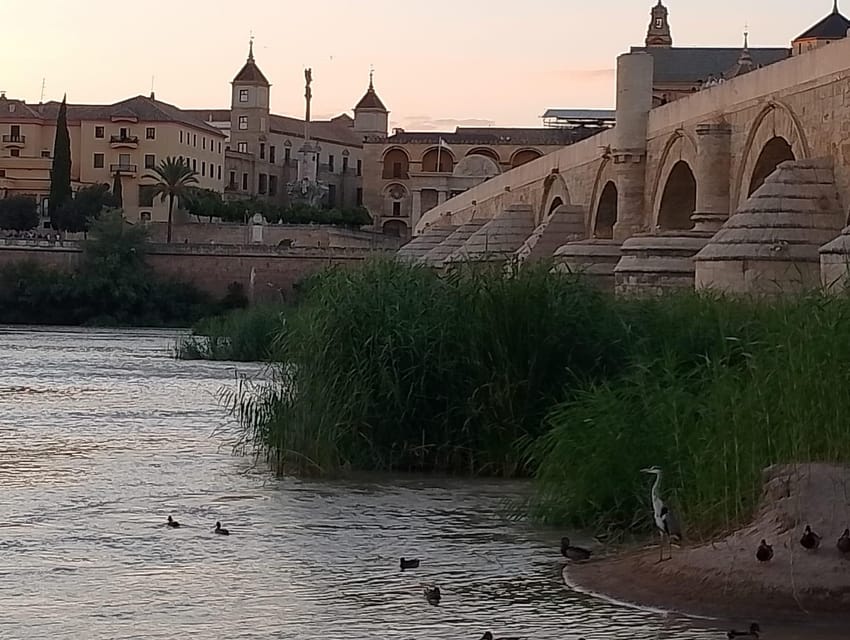 Córdoba: Tour of the Three Cultures to See the City in a Day