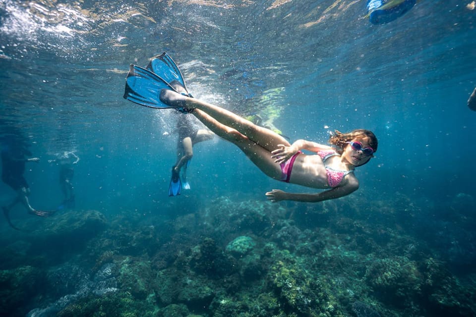 Da Nang/Hoi An: Cham Island W Snorkeling Trip/Scuba Diving