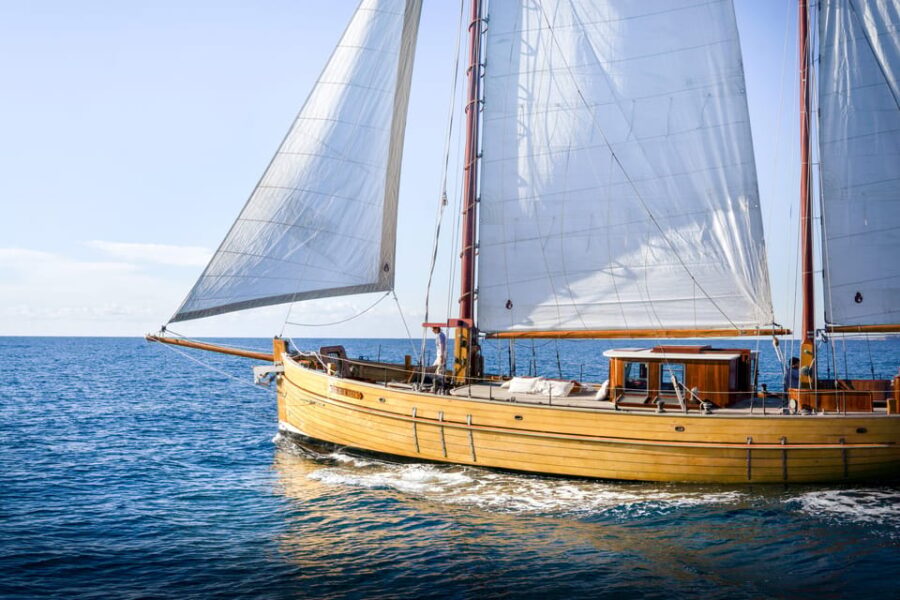 Day Sail in the Heart of the Calanques With Lunch