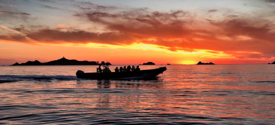 De Sagone/Cargèse: Scandola Piana Sunset Apéritif Snorkeling - Activity Overview