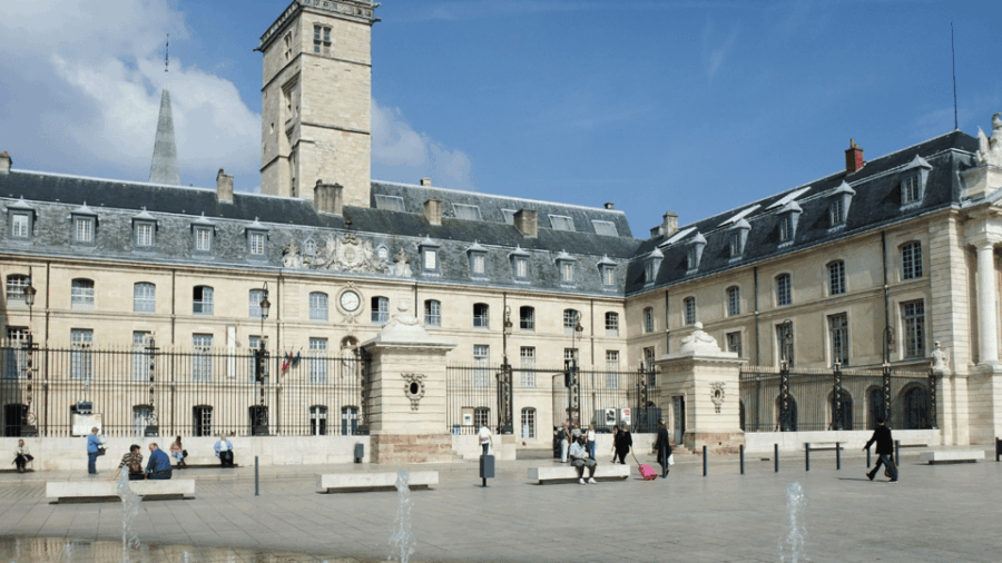Dijon: Walking Tour: on the Owls Trail - Exploring Dijons Heritage