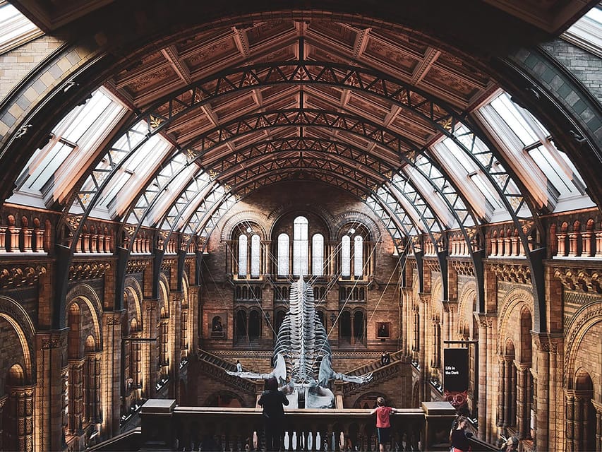 Discover Evolution at the Natural History Museum