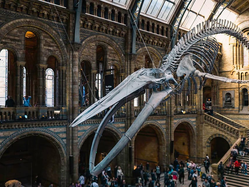 Discover Fossils & Gems at Natural History Museum