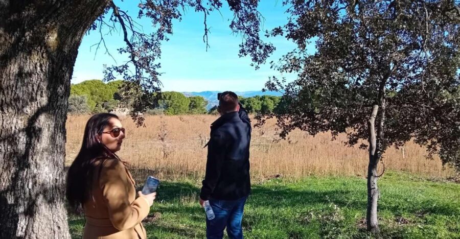 Discover Madrid’s Hidden DO: Exclusive Winery Tour & Tasting