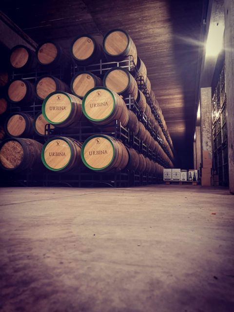 Discover Rioja: 3 Wineries & Exclusive Tastings Await!