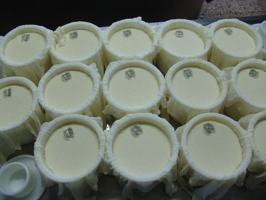 Discover the Art of Idiazabal Cheese in the Basque Country
