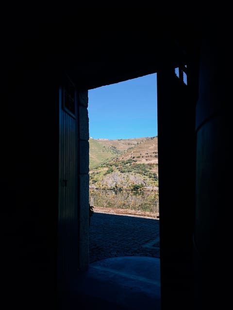 Douro Valley: PRIVATE TOURS With 1 Wine Tasting