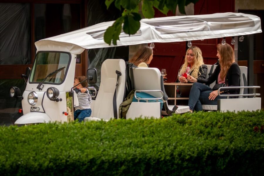 Fondue and Wine Private Tuk Tuk Tour in Geneva - Tour Overview