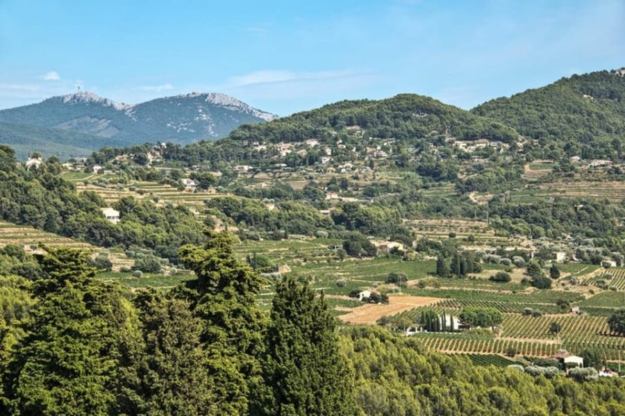 From Aix En Provence: Bandol & Cassis Full-Day Wine Tour