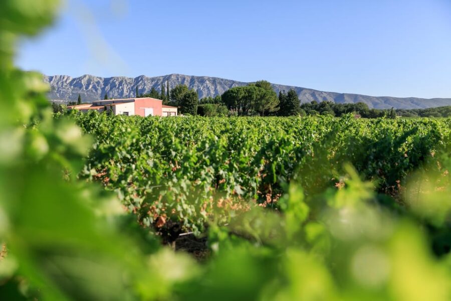 From Aix En Provence: Half-Day Wine Tour in Provence