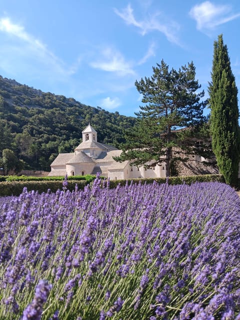 From Avignon: Lavender Villages Full-Day Tour