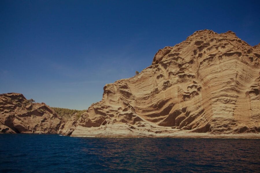 From Bandol: Visit the 13 Calanques of Cassis & Marseille