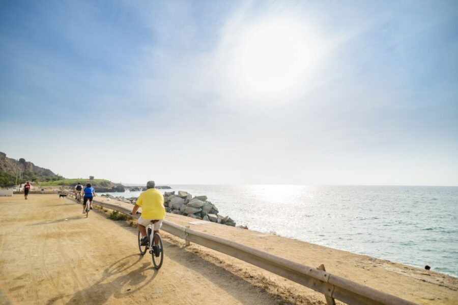 From Barcelona: Private Alella Wine Tour by Electric Bike