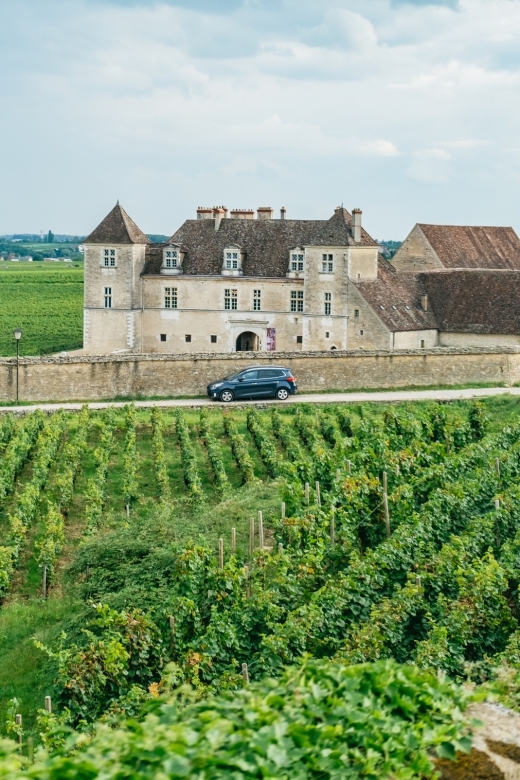 From Beaune: Burgundy Day Trip With 14 Wine Tastings