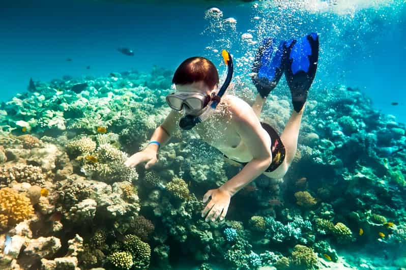 From Da Nang/Hoi An: Cham Islands Tour With Snorkeling