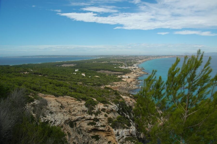 From Ibiza: Ferry and Guided Bus Excursion in Formentera
