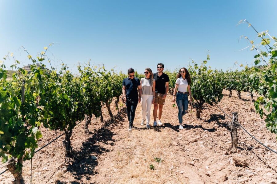 From Málaga: Ronda, Wine & Olive Oil Tasting Small Group
