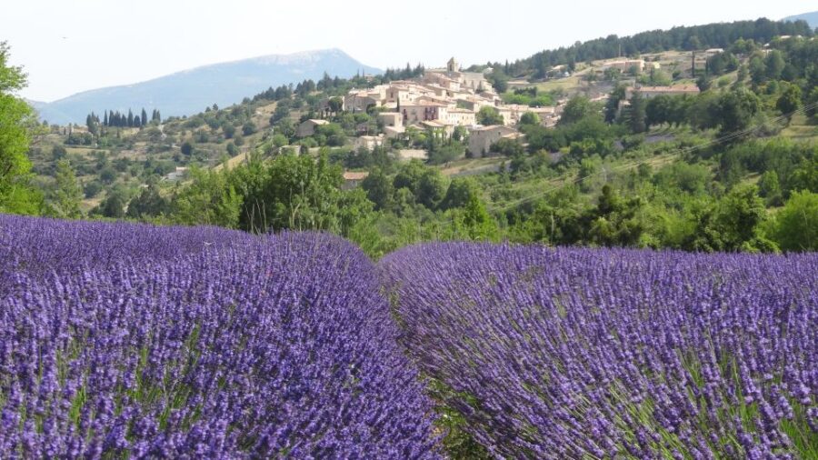 From Marseille: Lavender Full-Day Trip to Sault