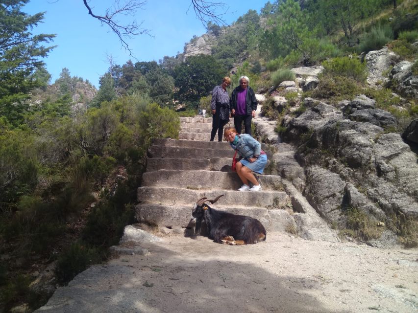 From Porto: Guided Tour to Gerês Park