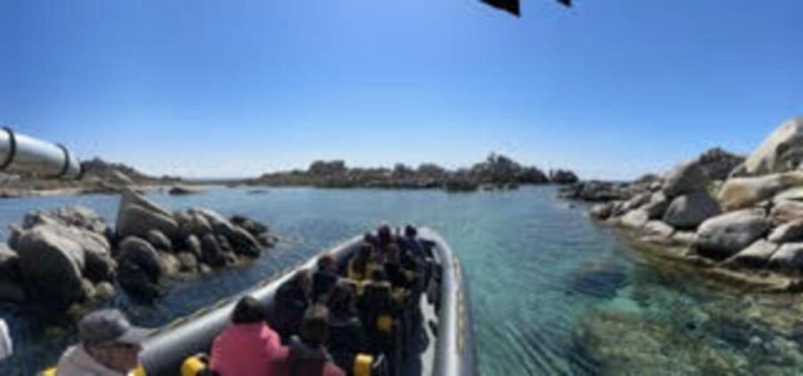From Porto-Vecchio: Lavezzi Archipelago Sightseeing Cruise
