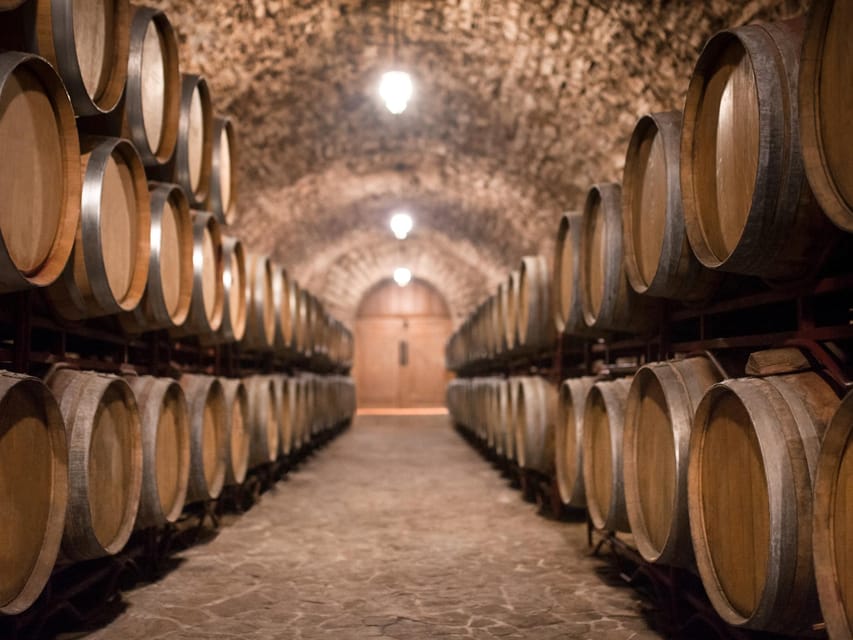 From Salou: Priorat Olive Trees and Wine Tour