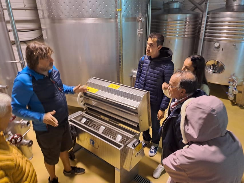 From Santander: Gastronomic Tour