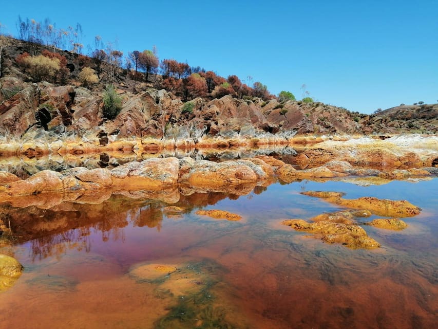 From Seville: Expedition To Mars Private Full-Day Tour
