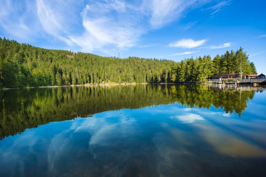 From Strasbourg: Black Forest and Baden Baden Day Trip